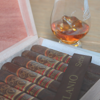 Oliva Serie V - Melanio Gran Reserva Robusto Cigar - 1 Single